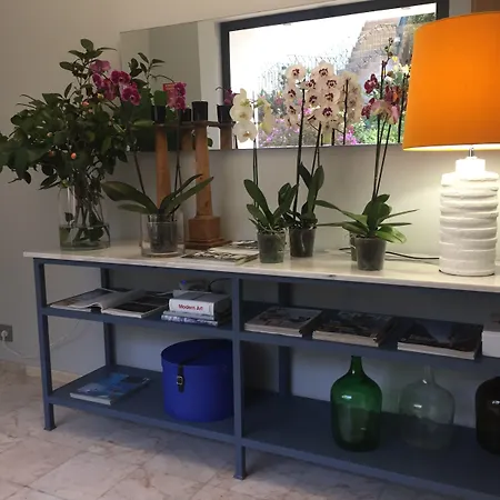 酒店 Belvedere Boutique - Adults Only Sao Martinho (Funchal)