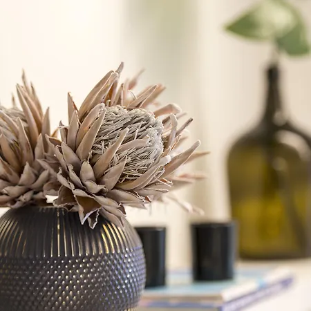 Belvedere Boutique - Adults Only Hotel Sao Martinho (Funchal)