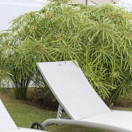 Belvedere Boutique - Adults Only