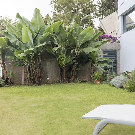 Hotel Belvedere Boutique - Adults Only Sao Martinho (Funchal)