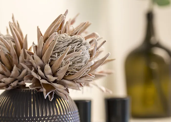 Belvedere Boutique - Adults Only Hotel Sao Martinho (Funchal)