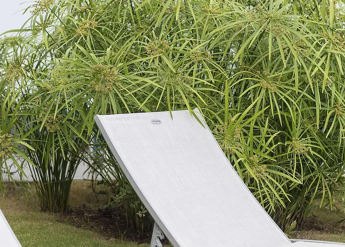 Belvedere Boutique - Adults Only