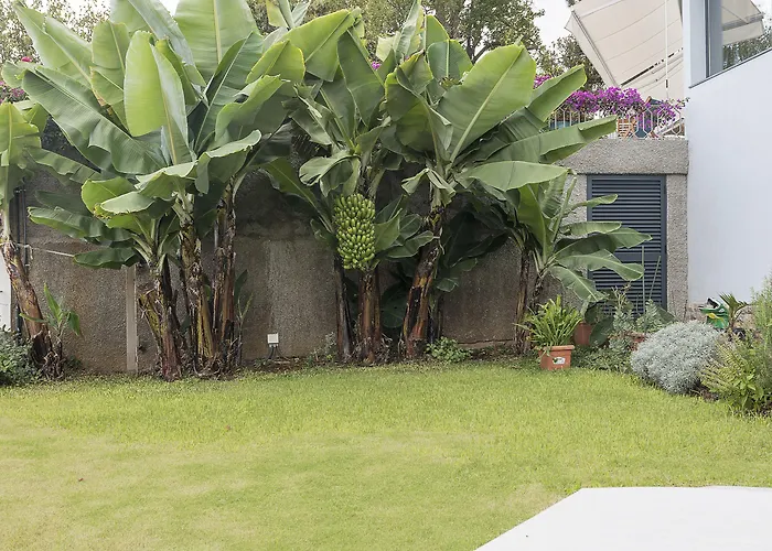 Hotel Belvedere Boutique - Adults Only Sao Martinho (Funchal)