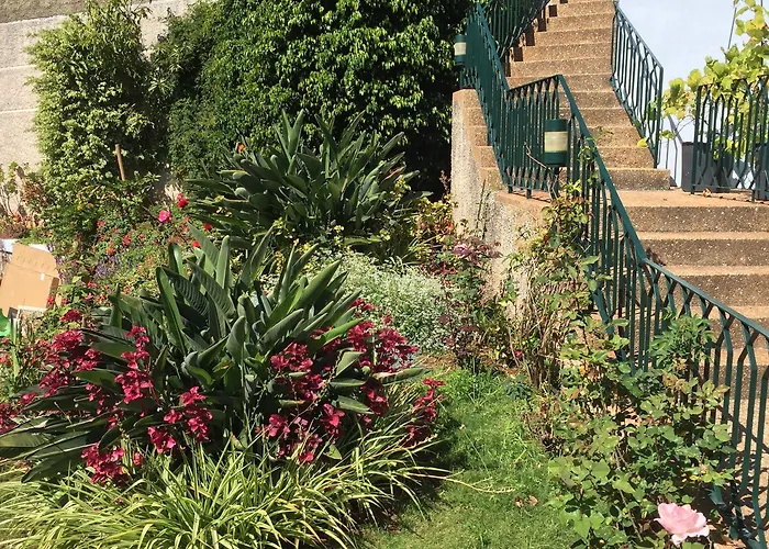 Belvedere Boutique - Adults Only Hotel Sao Martinho (Funchal)